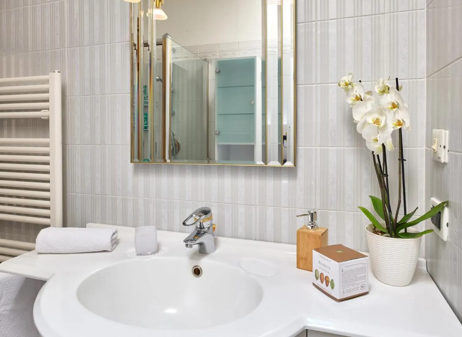 Apartment Perla Del Garda - Regarda Travel Lazise